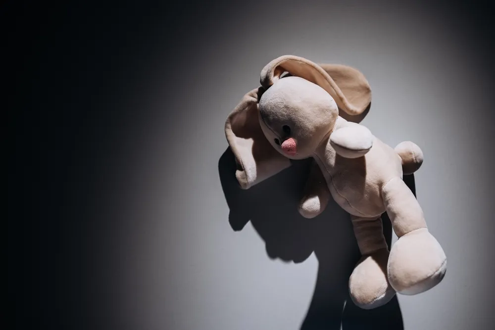 Natália foi atraída pela vizinha com a promessa de ver coelhinhos de pelúcia