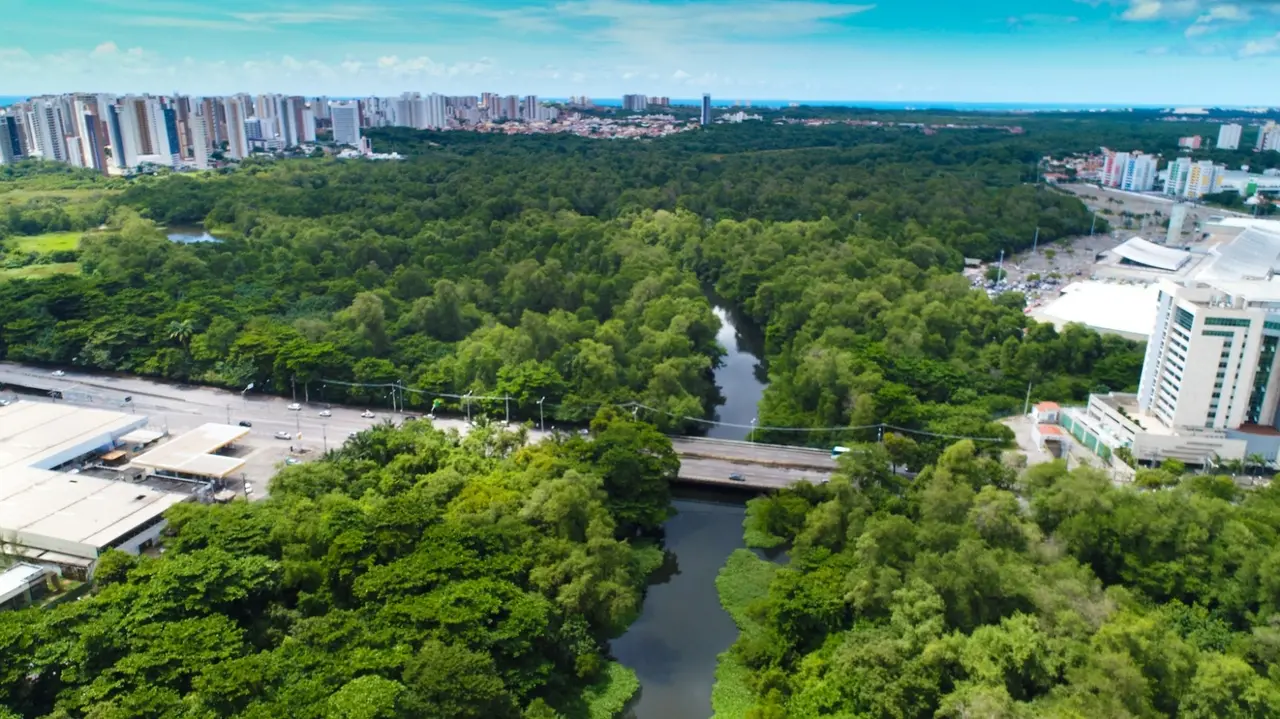 Imagem da notícia: Limpeza de rios e praias? Os custos econômicos da urbanização cega à dimensão ambiental
