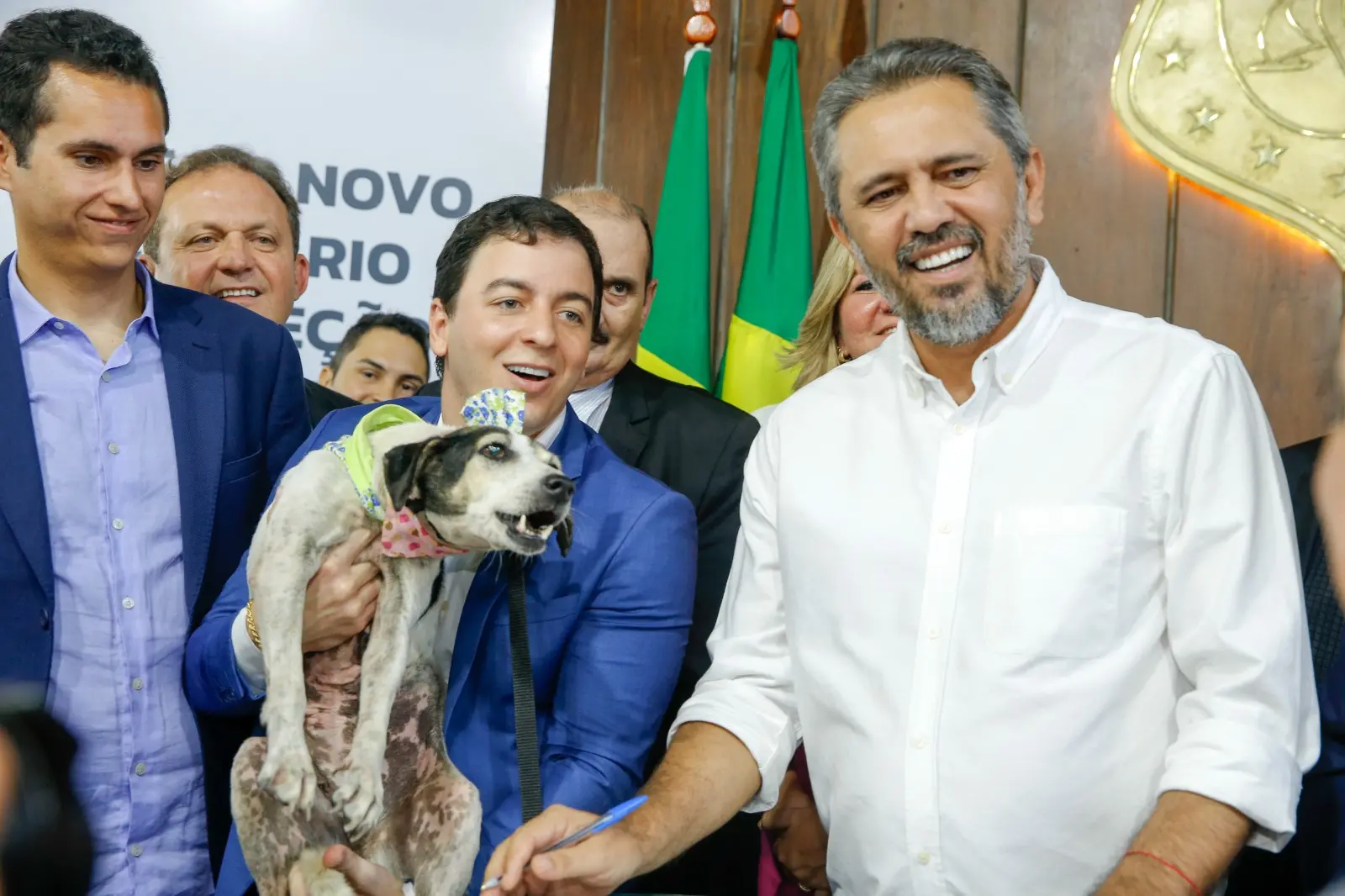 Imagem da notícia: Castração e atendimento gratuito: as prioridades de Célio Studart na secretaria de Proteção Animal