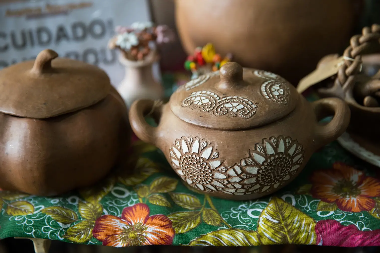 Imagem da notícia: Quase metade dos beneficiários do Agroamigo no Ceará é mulher; artesanato e culinária são destaque
