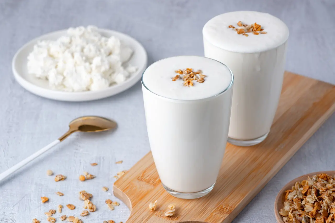 iogurtes, leites fermentados, kombucha e kefir