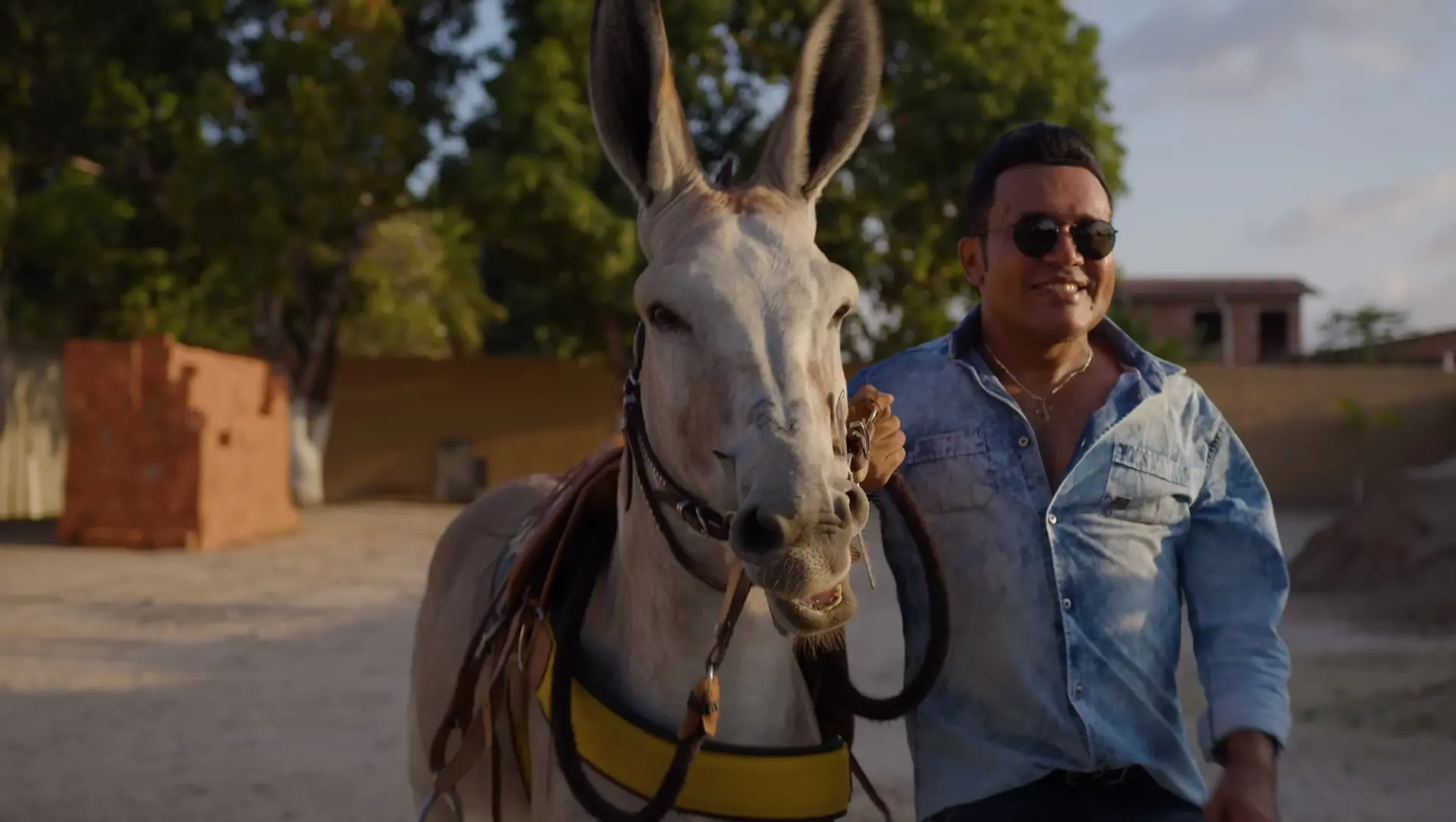 Imagem da notícia: Novo Forró no Sítio é cenário do clipe 'Jumentinho', de Zé Cantor; assista 