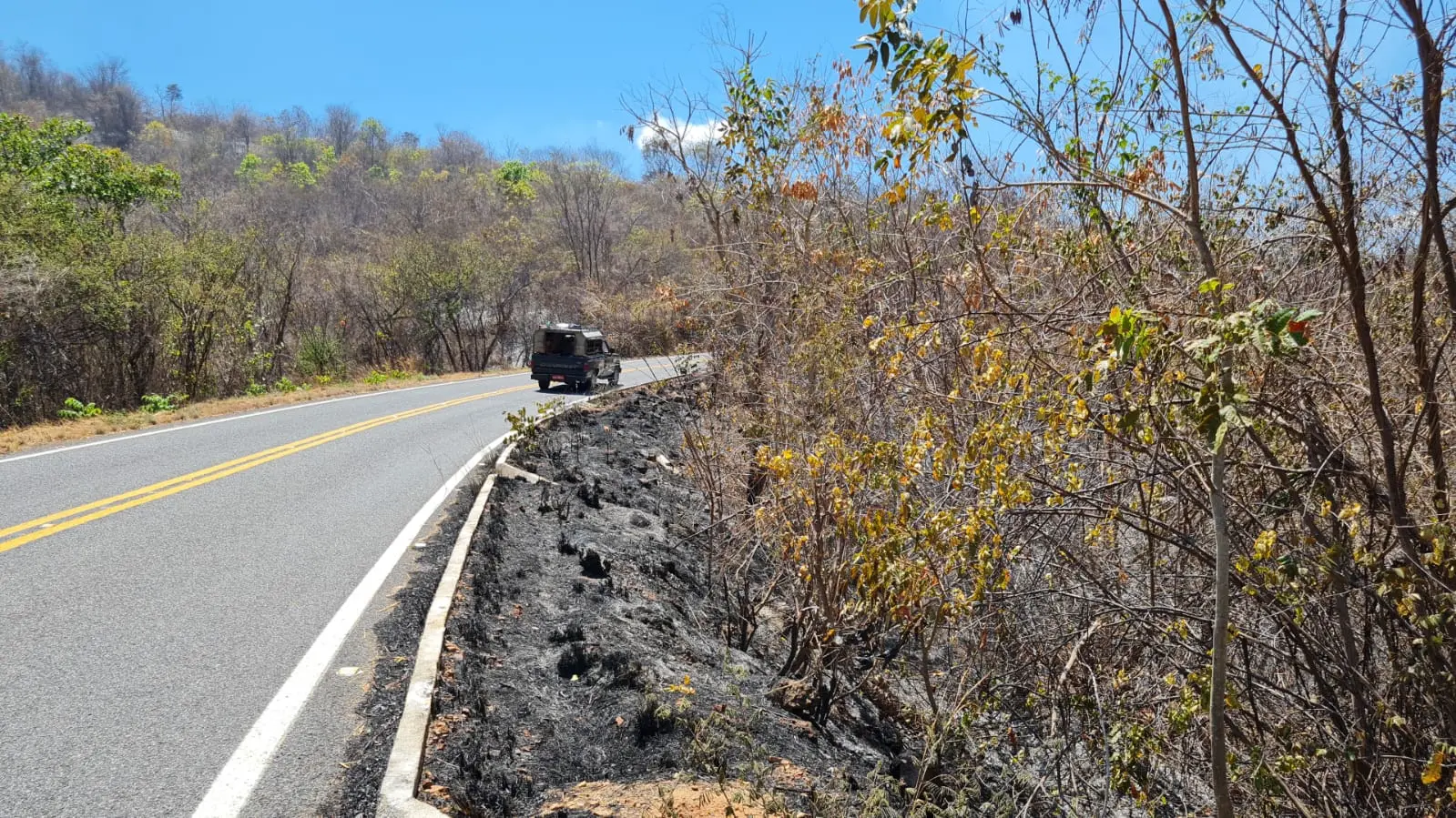 Imagem da notícia: Ceará tem alerta de calor e risco de incêndio em mais de 90 municípios; veja locais e como prevenir