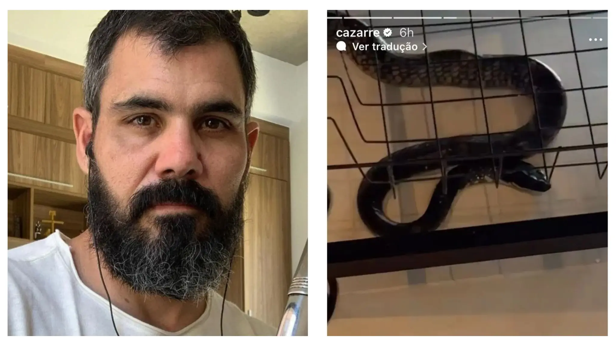 Imagem da notícia: Juliano Cazarré encontra cobra na cozinha de casa e chama o Corpo de Bombeiros