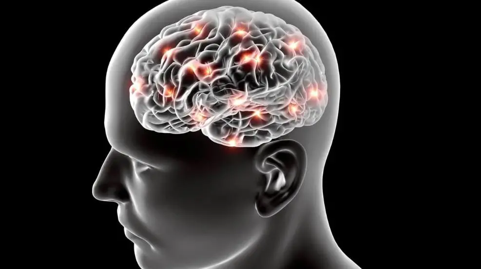 Imagem da notícia: Sintoma precoce inédito do Alzheimer é apontado em estudo sueco; saiba qual