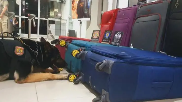 Imagem da notícia: Dubai, Lisboa, Paris: quais os destinos dos presos por tráfico de drogas no Aeroporto de Fortaleza