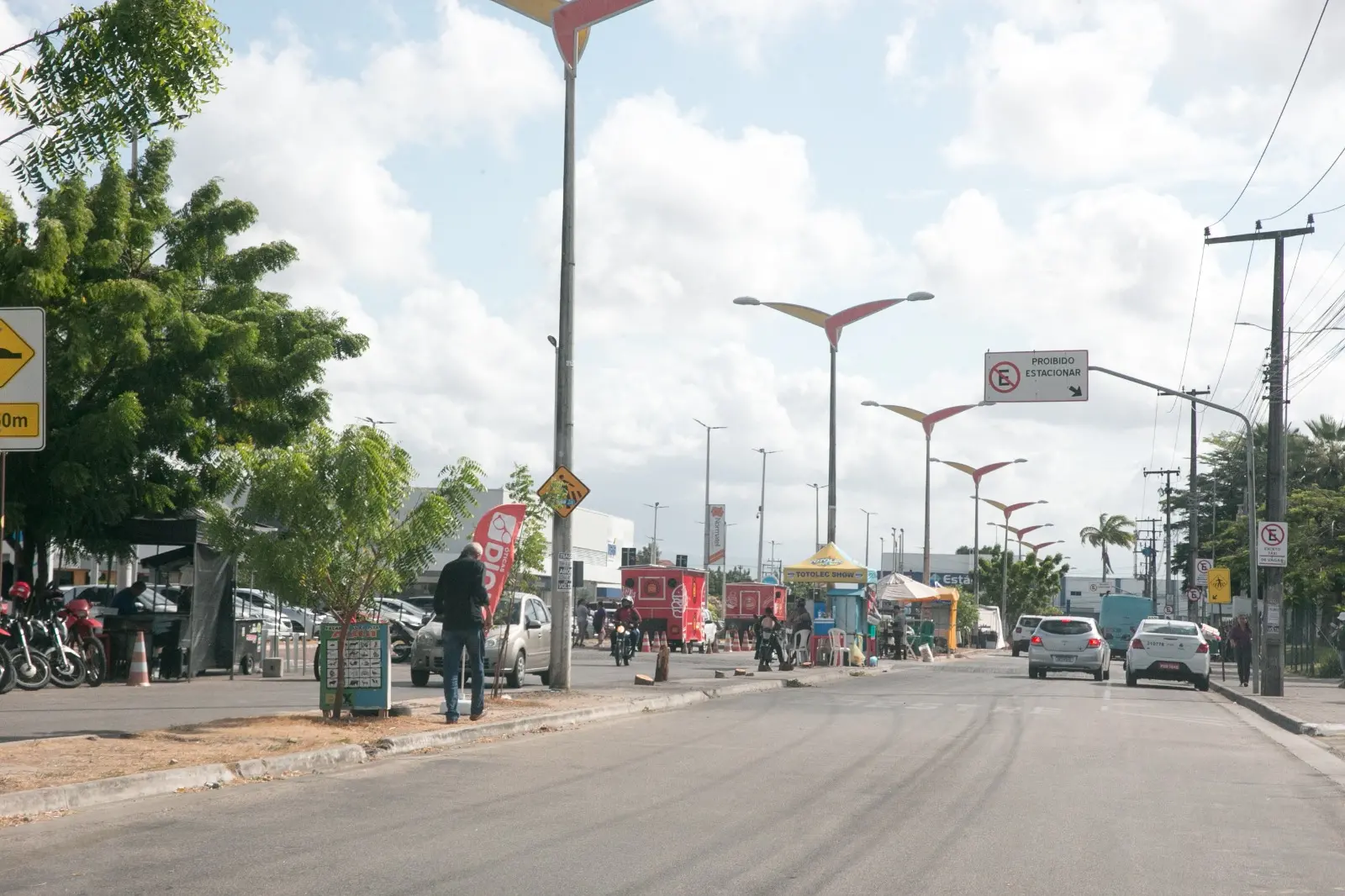 Imagem da notícia: Árvore ‘invasora’: nim indiano é comum em Fortaleza, mas retirada deve seguir plano ambiental