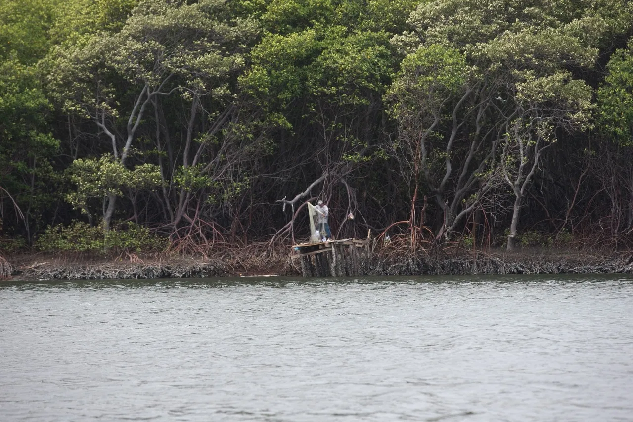 Qualidade da água depende de políticas públicas efetivas e consciência ambiental