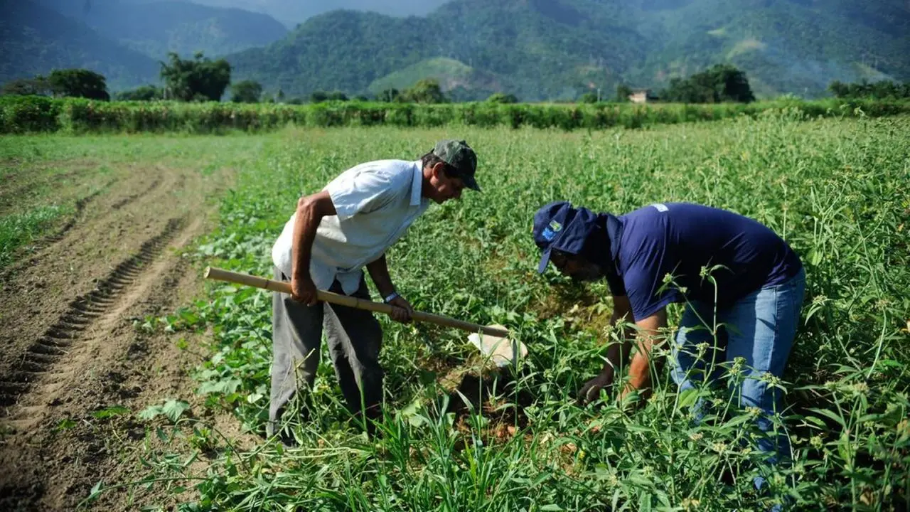 Imagem da notícia: Lei que prevê renegociação de dívidas dos agricultores é aprovada na Câmara dos Deputados