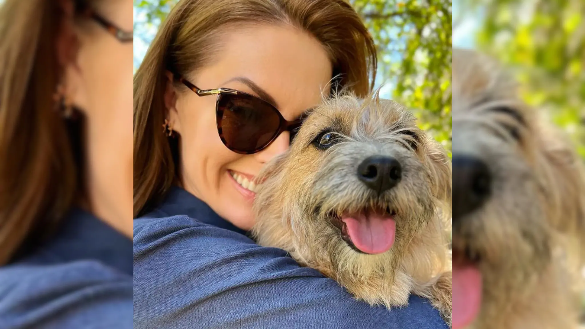 Imagem da notícia: Cachorro que defendeu Ana Hickmann foi resgatado da rua pela apresentadora; relembre história