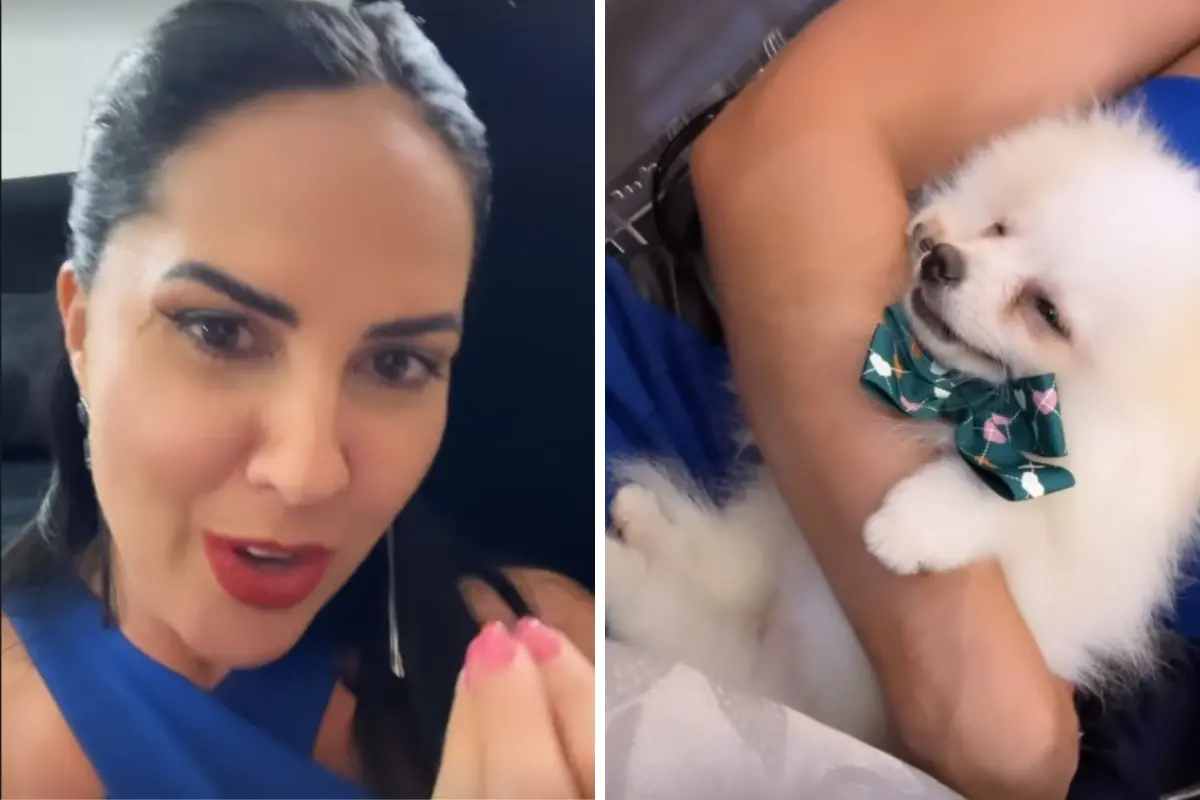 Imagem da notícia: Graciele Lacerda arremata cachorro por R$ 63 mil em leilão e é detonada na web