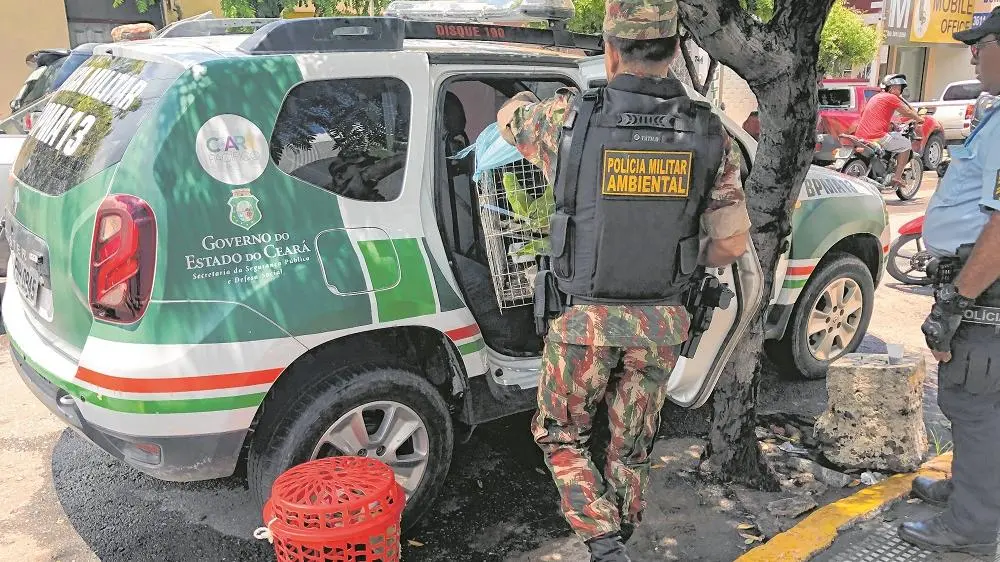 Imagem da notícia: PM do Ceará acusado de participação em crimes investigados na operação 'Espanta Raposa' é absolvido