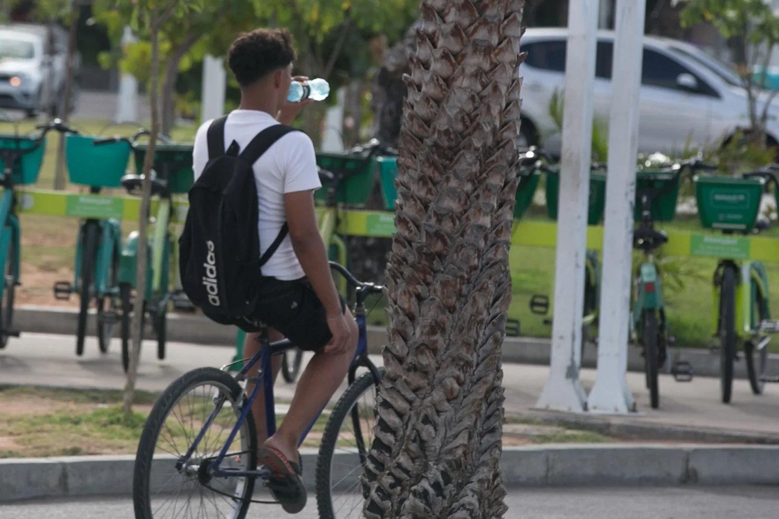 Focos de calor devem diminuir em dezembro