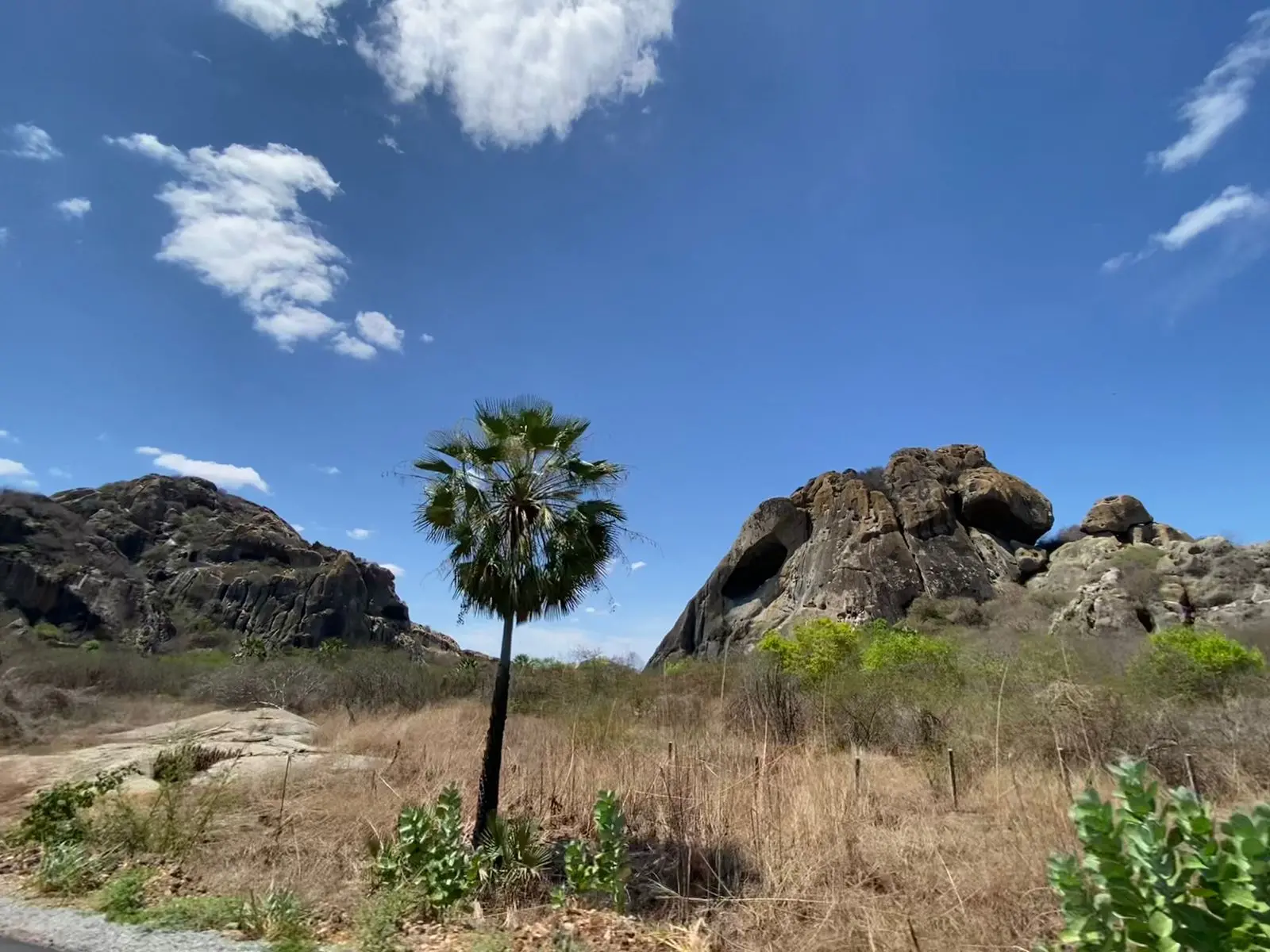 Imagem da notícia: Nova onda de calor começa hoje no Ceará e 18 cidades podem chegar a 40°C; veja locais