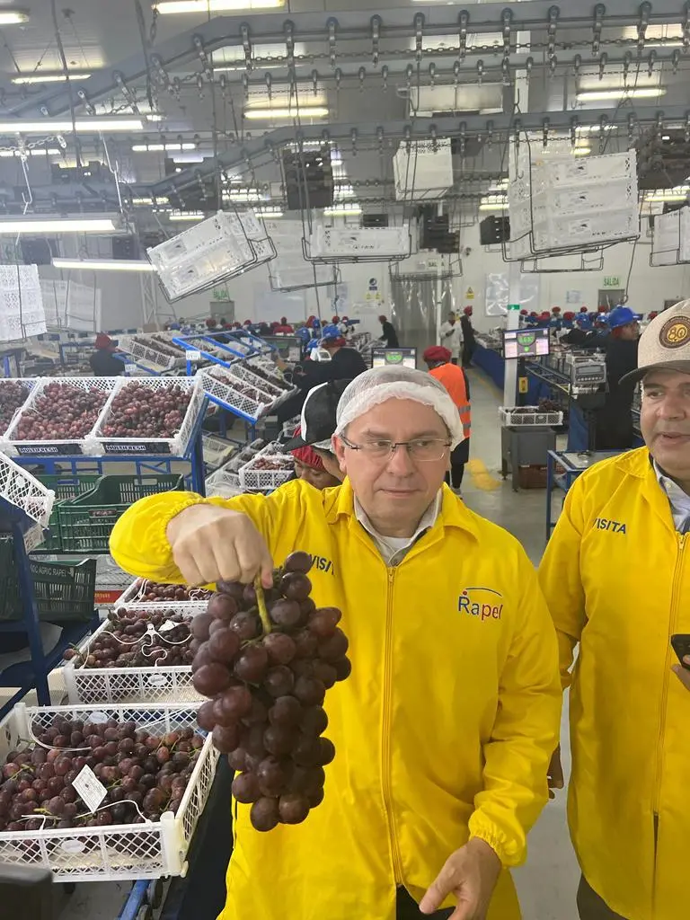 Imagem da notícia: Fruticultura: o Ceará poderá mirar-se no bom exemplo do Peru