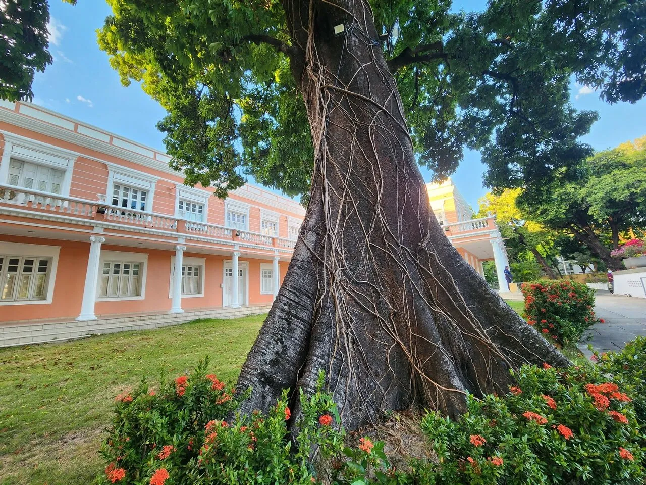 Besouro metálico se espalha também por outros espaços da cidade