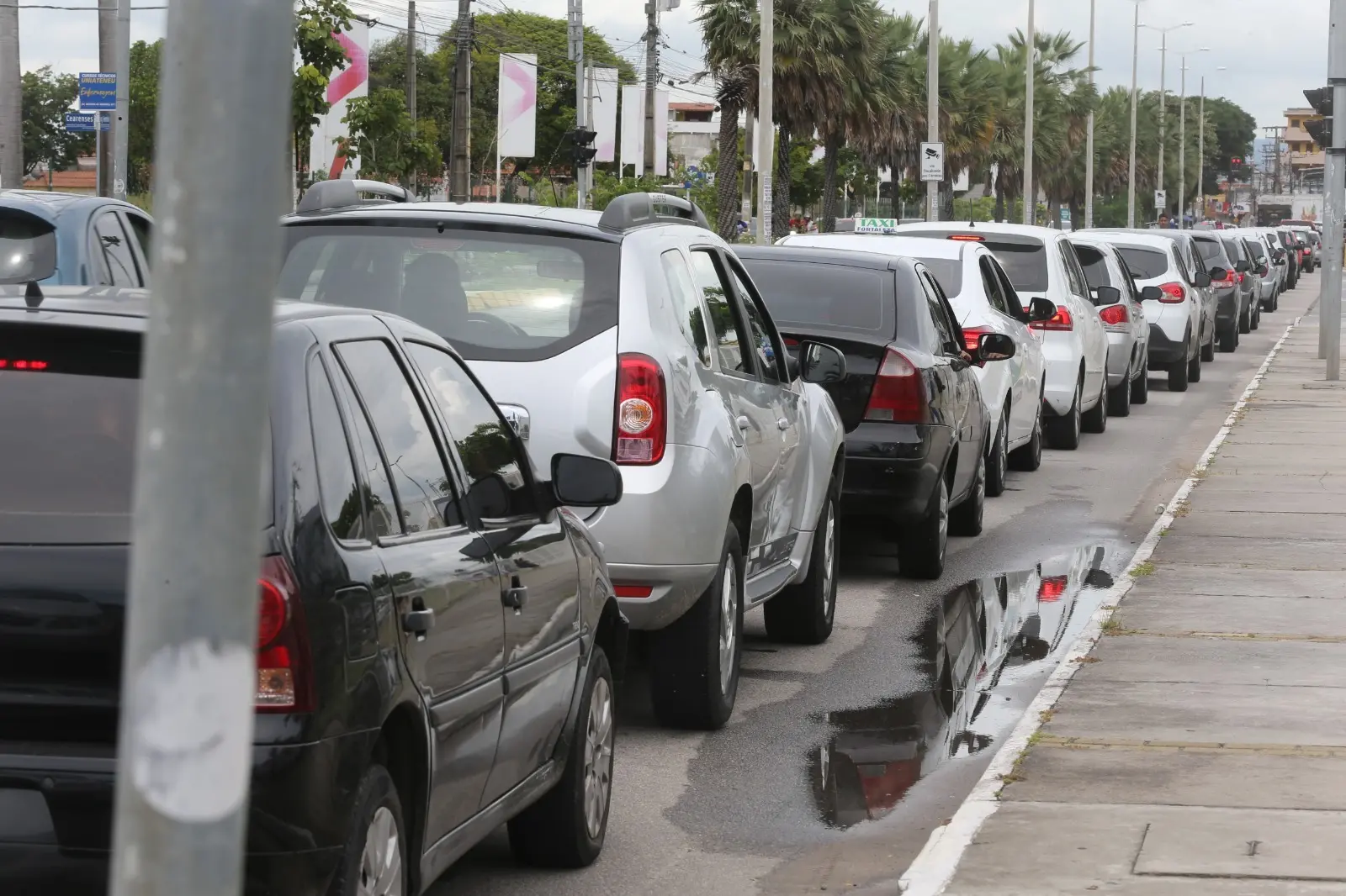 Imagem da notícia: IPVA 2024: veja como conseguir desconto no pagamento do imposto