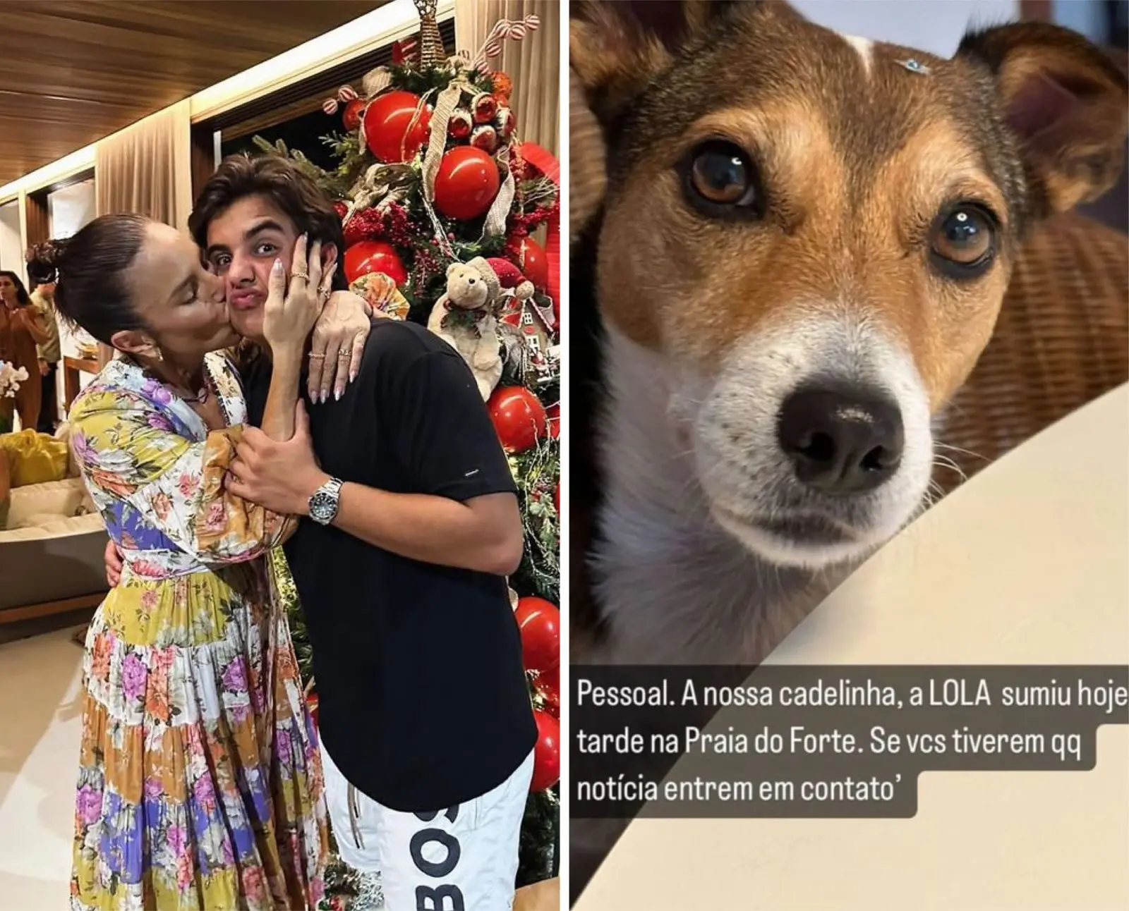 Imagem da notícia: Filho de Ivete Sangalo vai às redes sociais pedir ajuda para encontrar cadela da família
