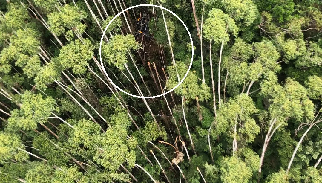 Imagem da notícia: Helicóptero que caiu em São Paulo colidiu com vegetação em mata, diz Cenipa