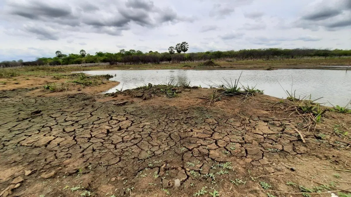 Imagem da notícia: Possibilidade de seca cresce e preocupa agropecuária cearense