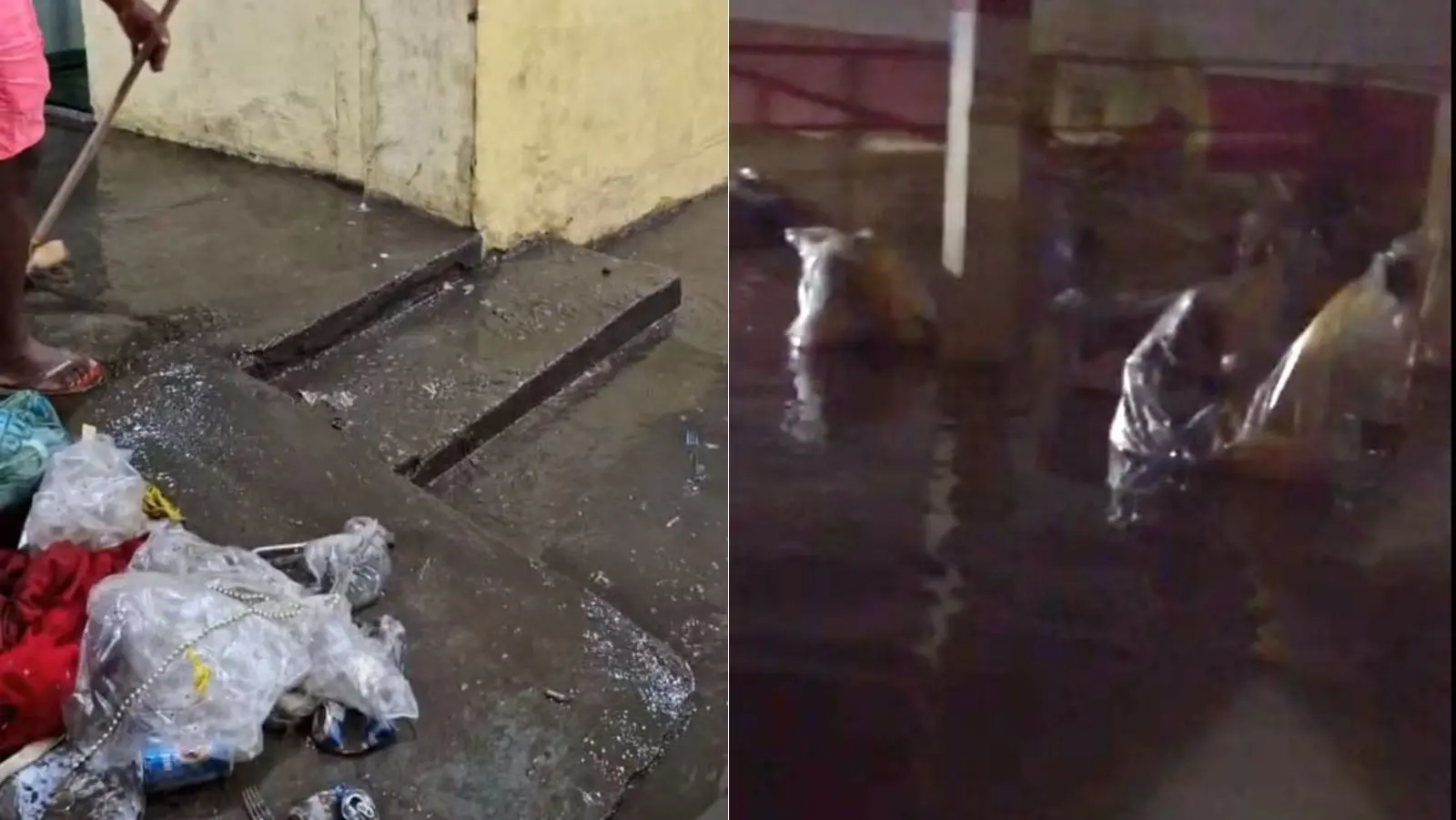 Imagem da notícia: Escola de samba perde mais de 600 fantasias em forte chuva no Rio de Janeiro