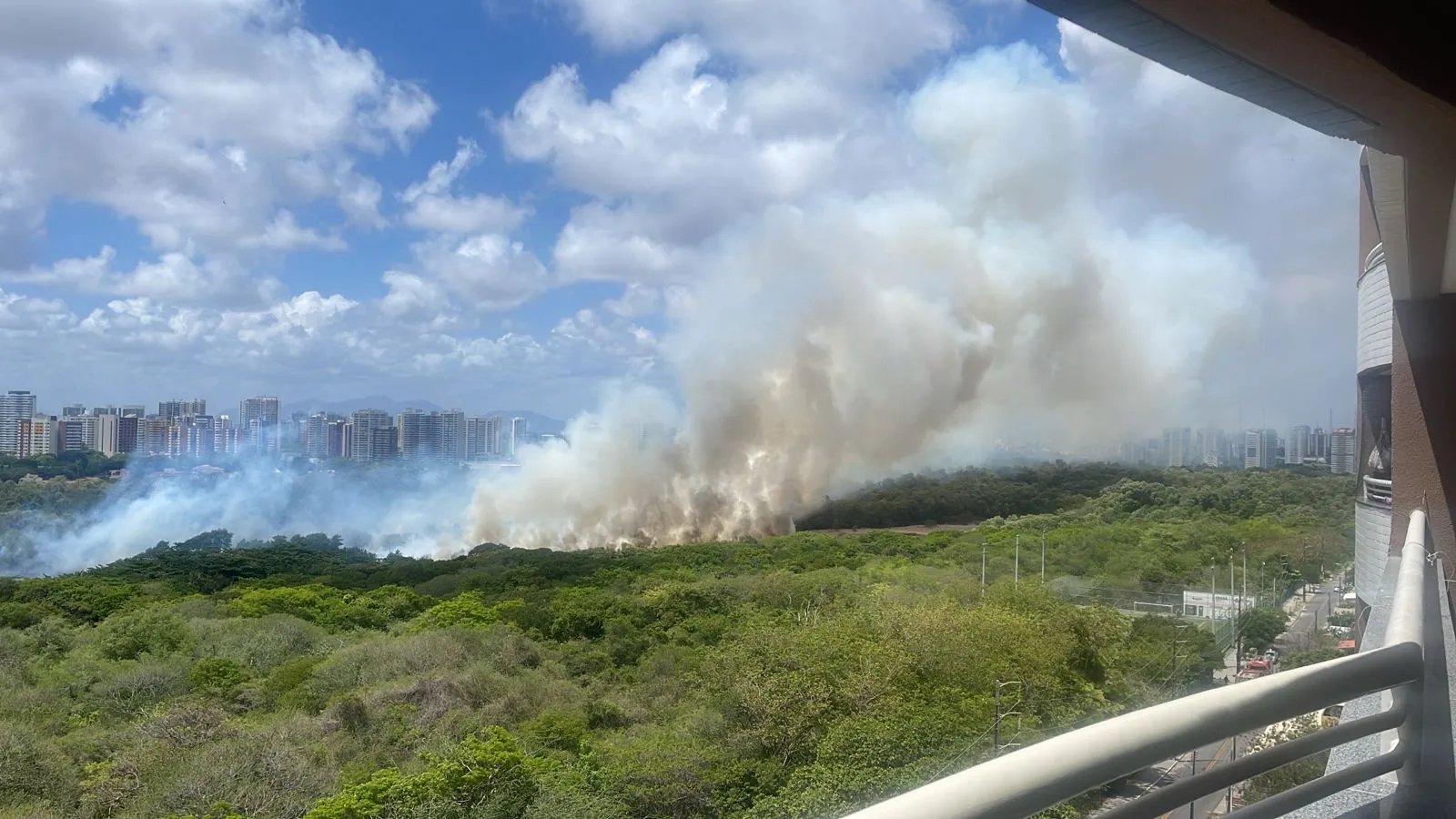 Chamas estão em um local sem acesso para viaturas e cercado por vegetação seca, dificultando o trabalho dos agentes
