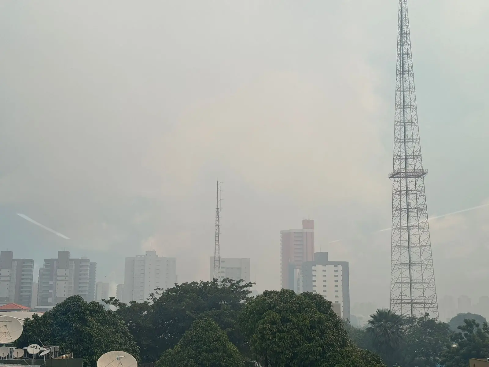 Imagem da notícia: Incêndio no Cocó: especialista alerta para cuidados com inalação de fumaça 
