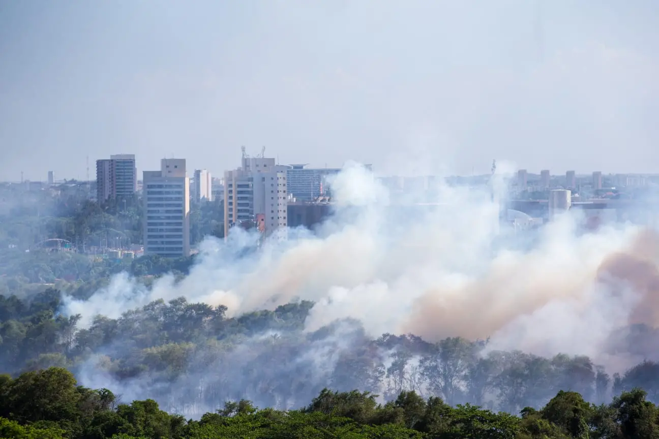 incêndio cocó 2