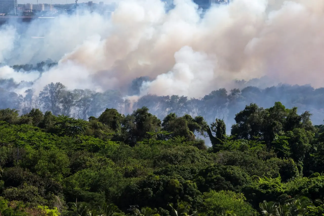 Imagem da notícia: Incêndio no Parque do Cocó não tem previsão para acabar; Corpo de Bombeiros segue combatendo fogo