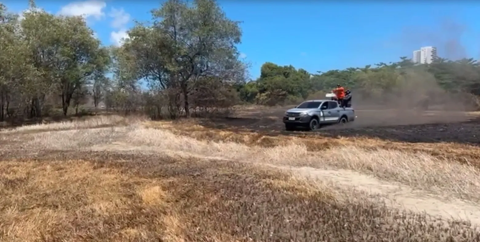Ainda não há como precisar os prejuízos do incêndio, mas vegetações, árvores e animais foram afetados