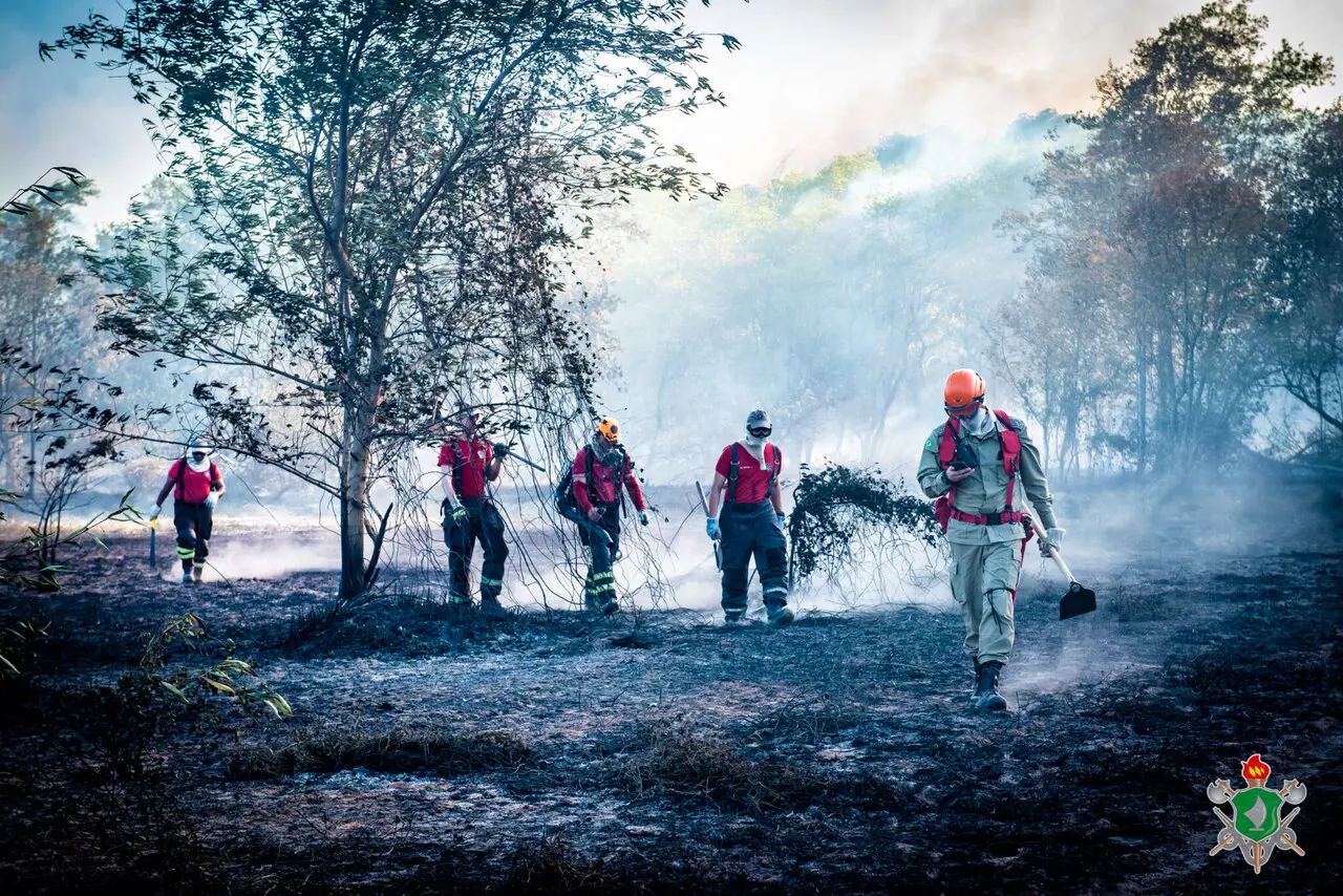 Imagem da notícia: Incêndio no Parque do Cocó: bombeiros devem continuar combate durante o fim de semana 