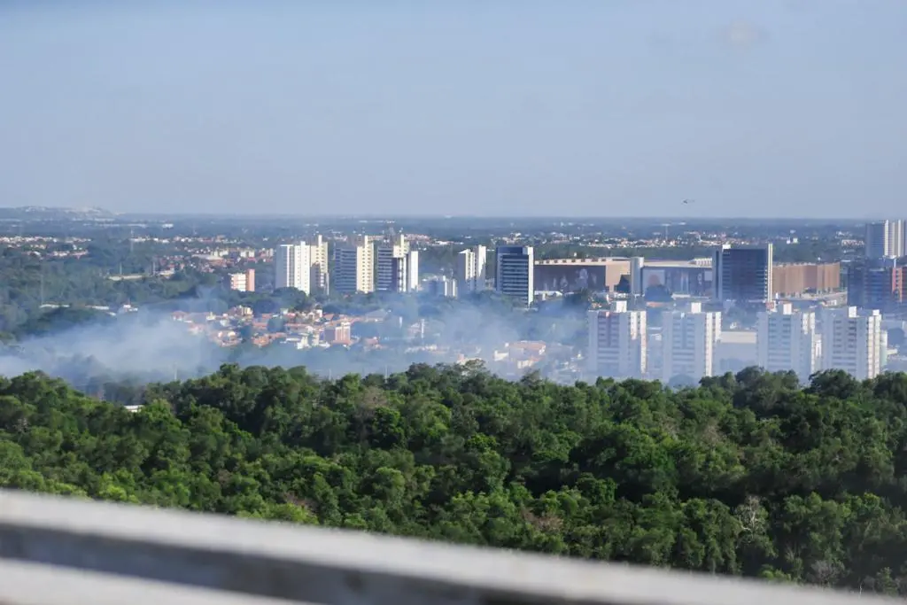 Imagem da notícia: Incêndio no Cocó afetou área equivalente a 10 campos de futebol e pode ter sido criminoso, diz Sema