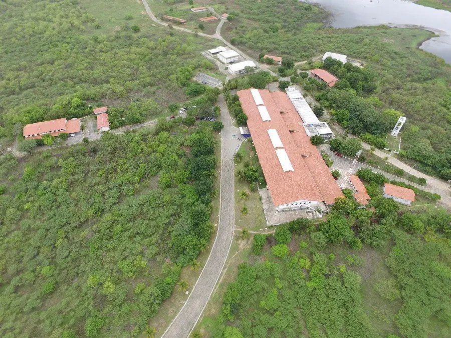 Imagem da notícia: Embrapa em Sobral abre inscrições para estagiários e bolsistas de iniciação científica em 15 áreas