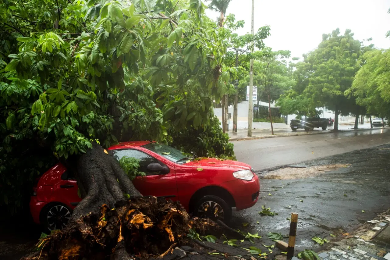 Imagem da notícia: Prefeito Sarto monitora ações para conter efeitos da chuva no trânsito e em moradias de Fortaleza