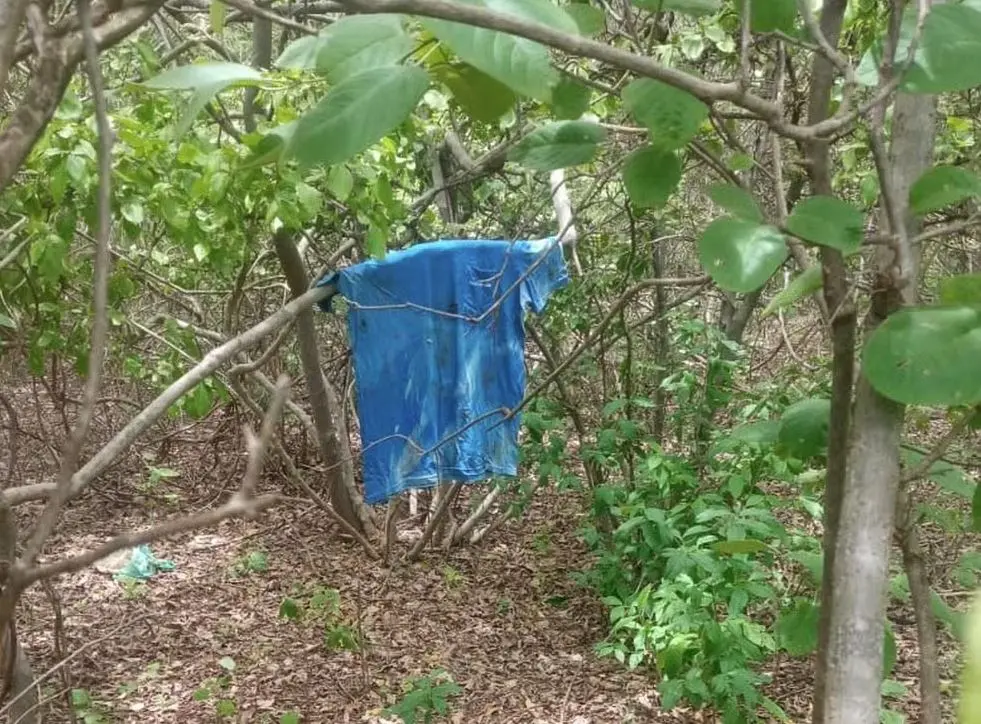 Imagem da notícia: Polícia reforça buscas por foragidos de Mossoró em cidade na divisa com o Ceará