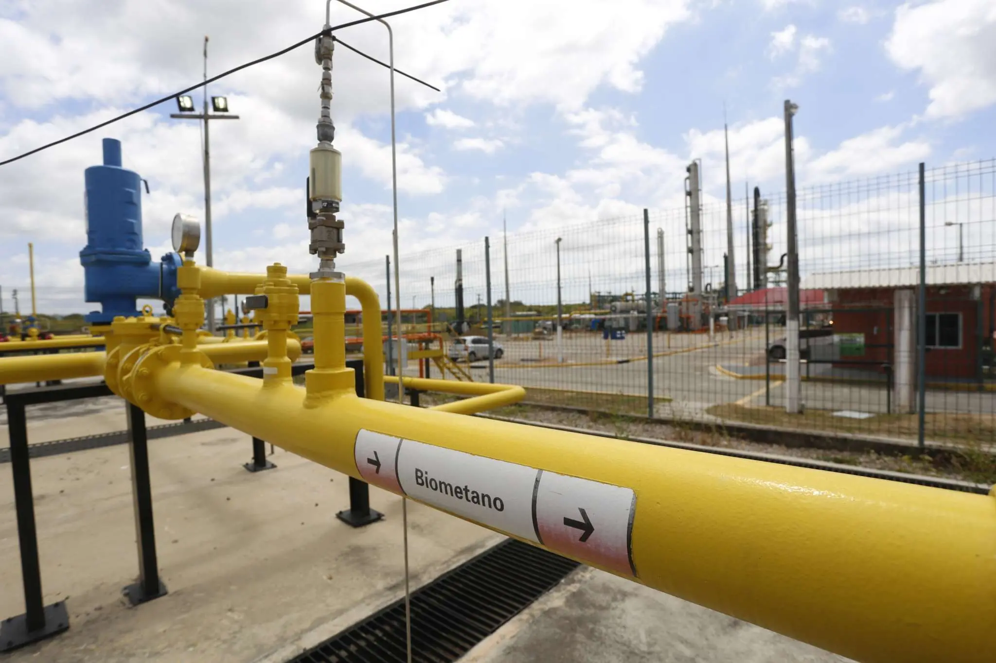 Imagem da notícia: Se usar toda capacidade de biogás, Ceará gera 12 mil empregos e reduz toneladas de CO₂ da atmosfera