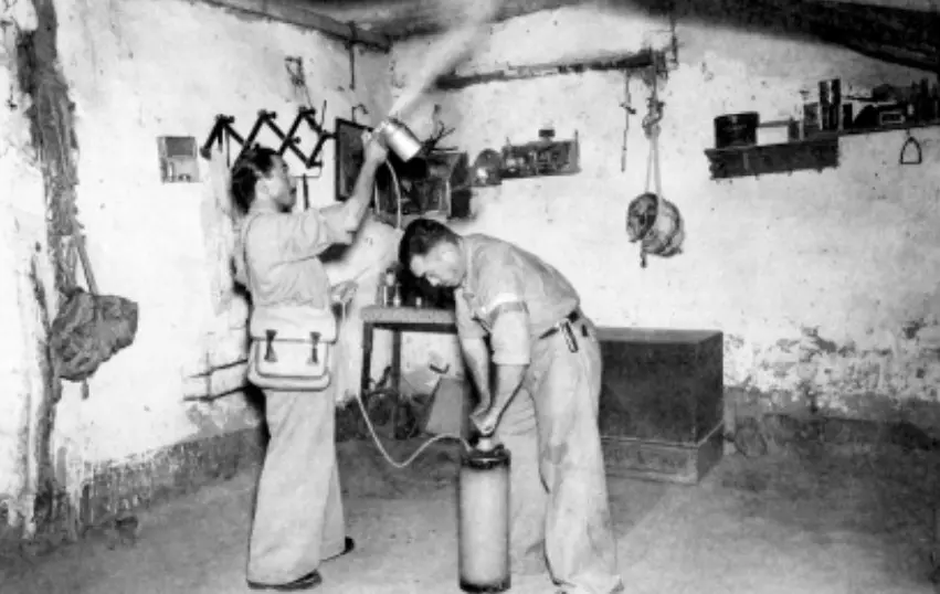 Imagem da notícia: Antes da dengue, Ceará combateu mosquitos por outra doença fatal há 90 anos; saiba a história