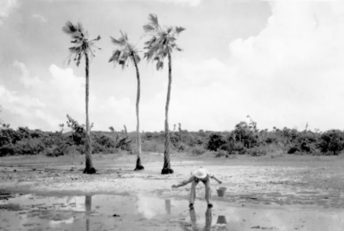 Guarda antilarvário do Serviço eliminando foco do mosquito na região de Aracati, em 1940