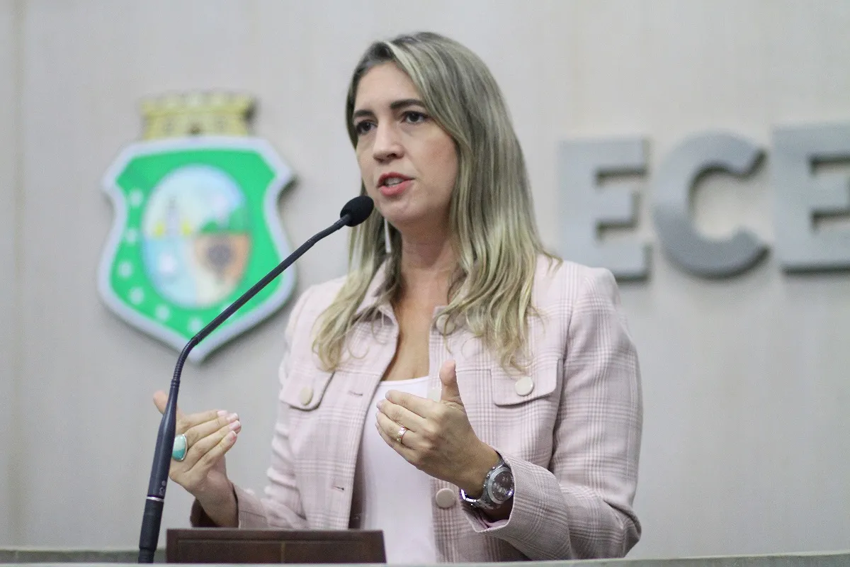 Deputada estadual Larissa Gaspar (PT)