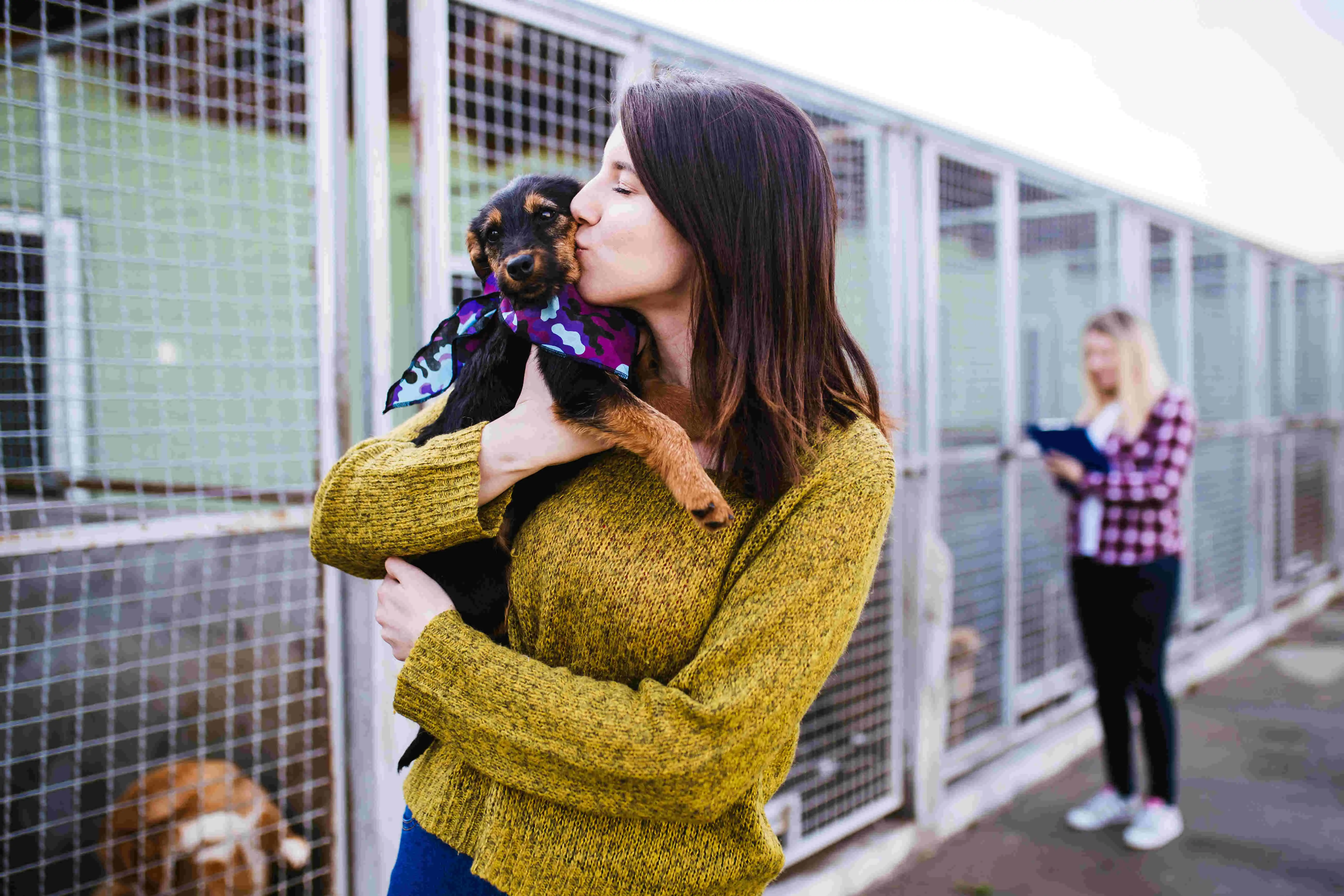 Mulher beija cachorro adotado