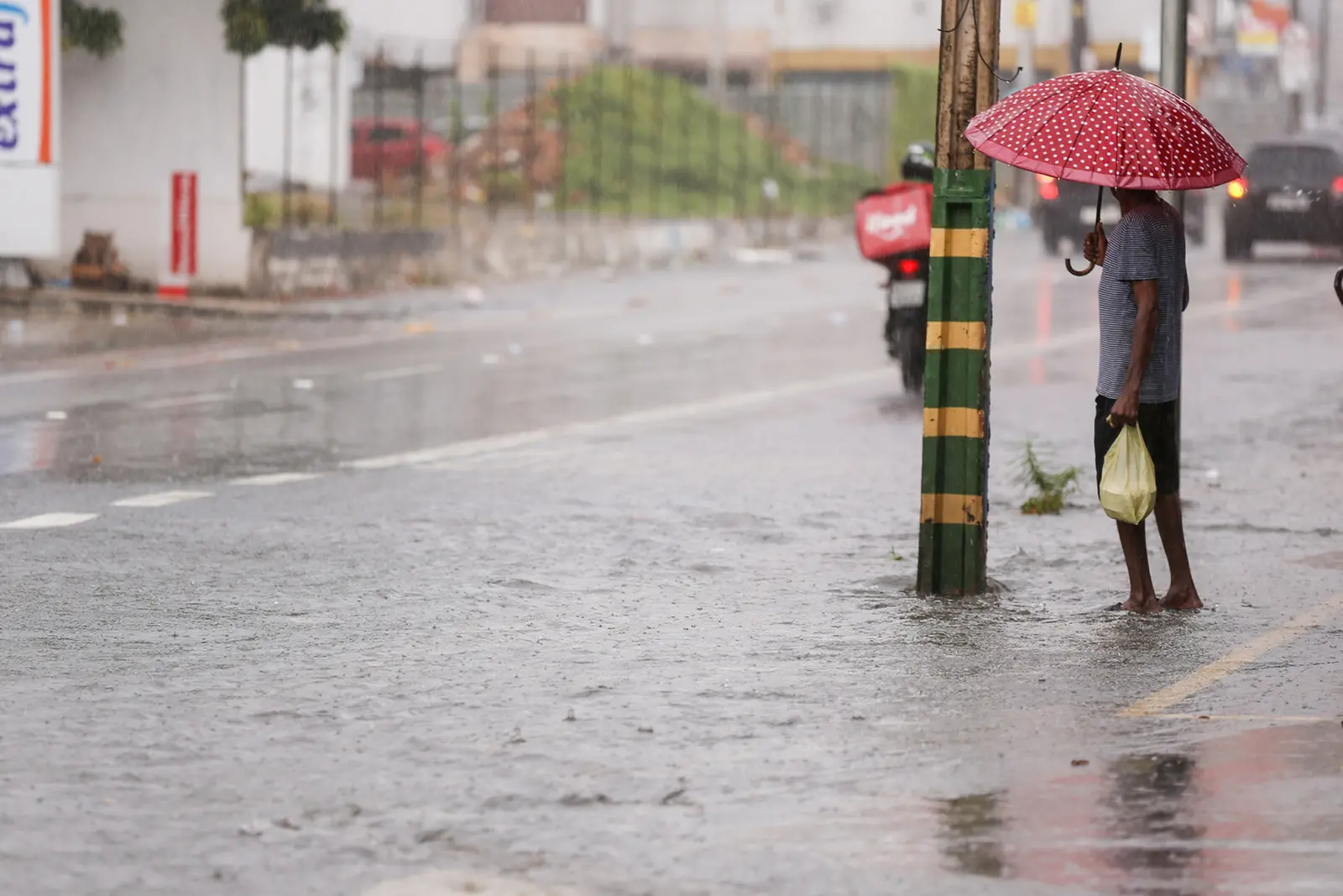 Imagem da notícia: Chove em mais de 130 cidades do CE entre quinta e sexta (15); veja locais com maiores volumes