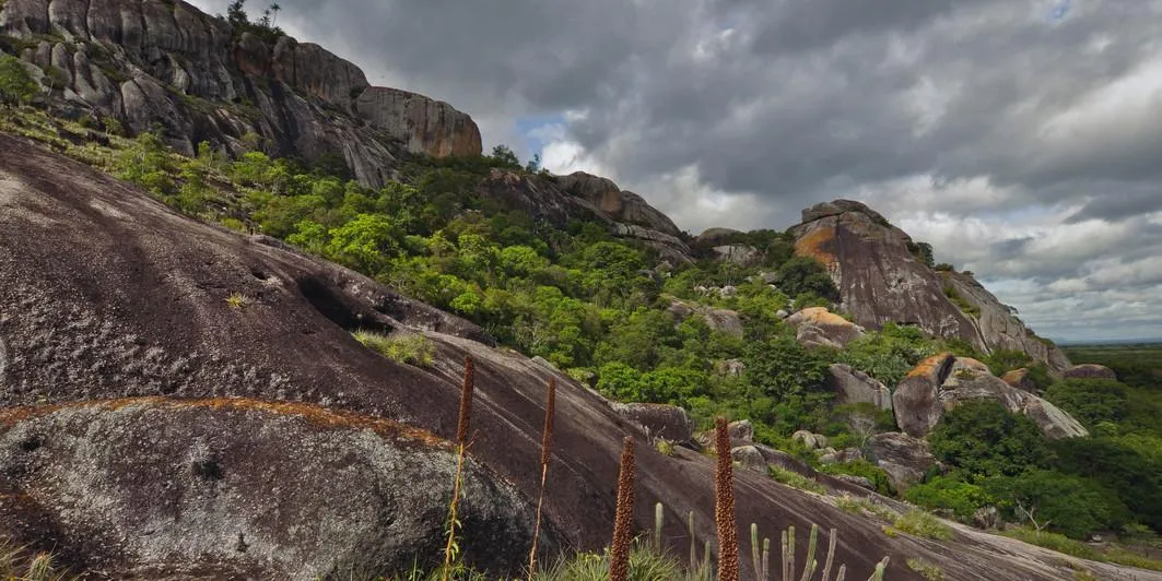 Chapada do Araripe, na Região do Cariri, é uma das regiões mais ricas ambiental e culturalmente no Ceará