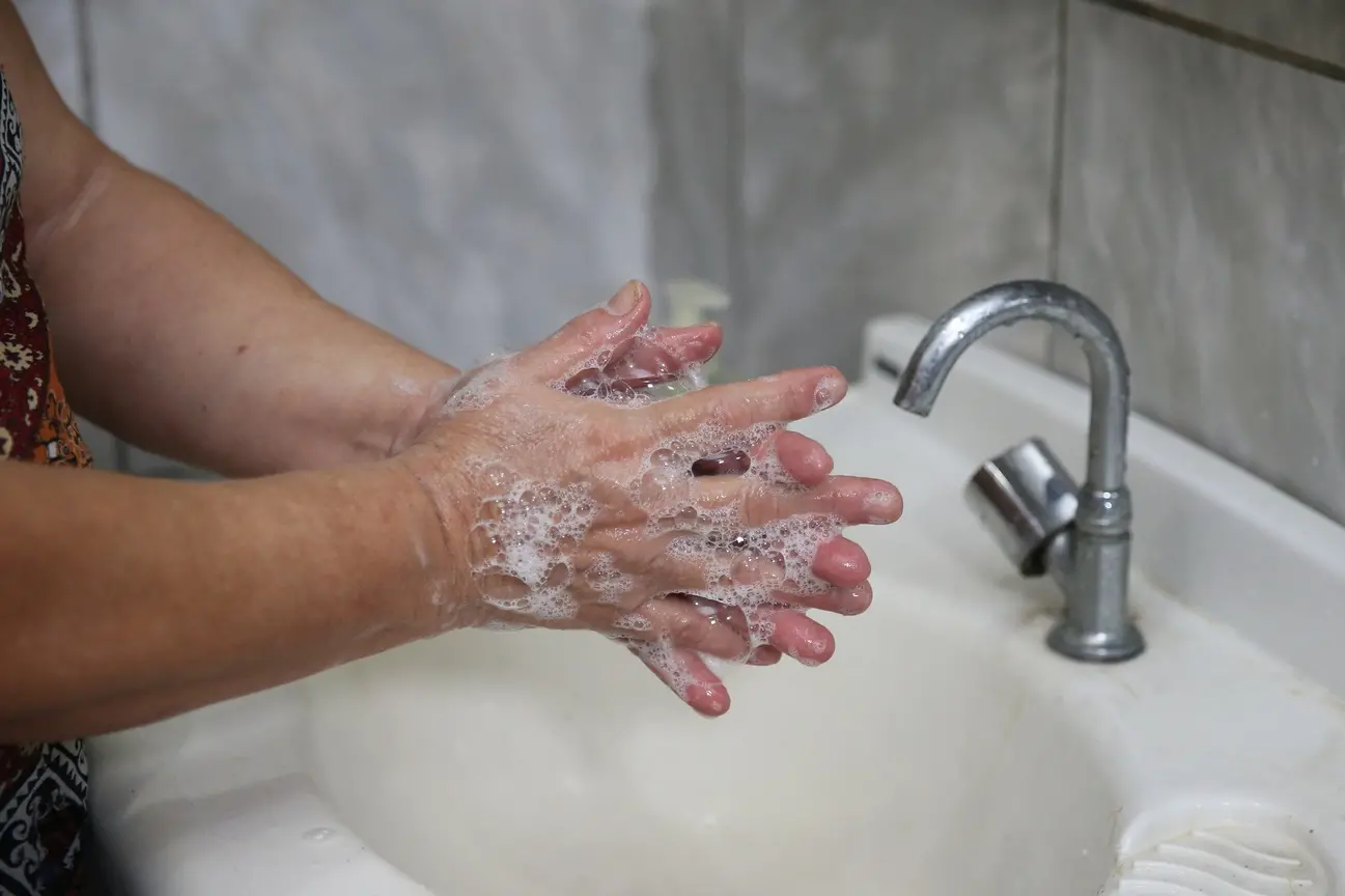 Imagem da notícia: Ceará tem quase 50 mil casos a mais de ‘virose da mosca’ do que em 2023; saiba como se prevenir