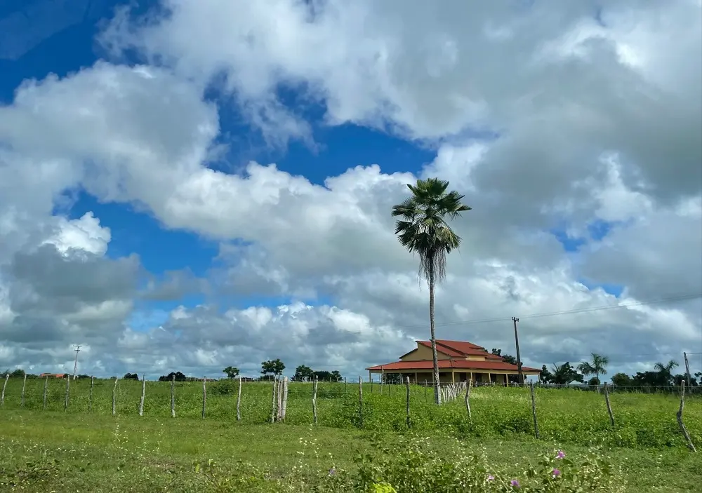Imagem da notícia: Mais da metade do território do Ceará está sem seca; cenário é o mais ameno em 9 meses