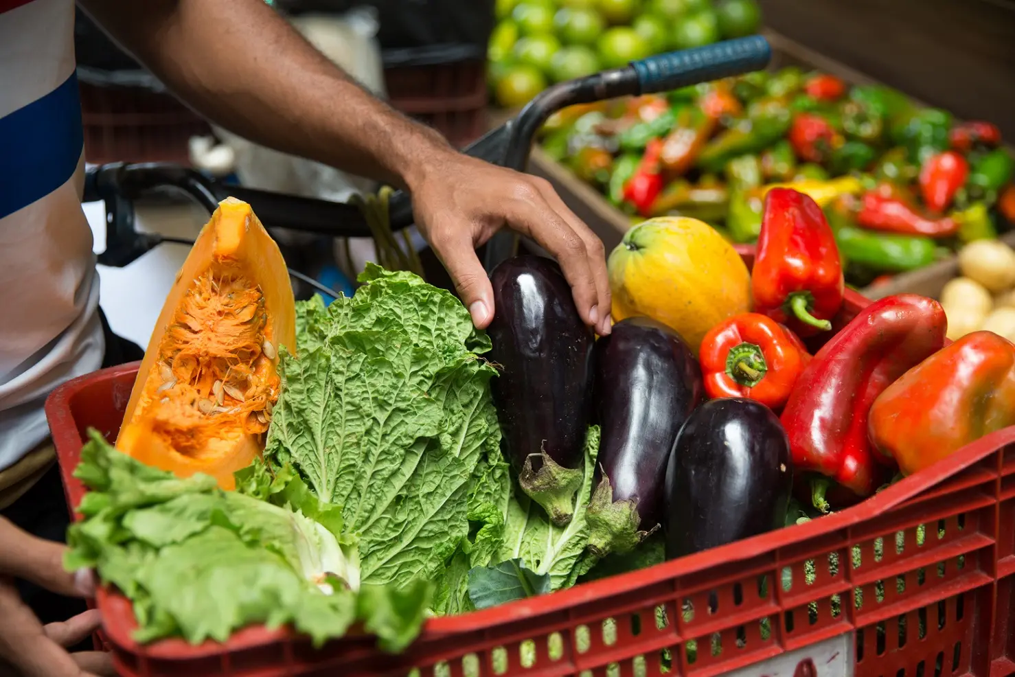 Imagem da notícia: 1 a cada 3 domicílios no CE tem problema para conseguir comida