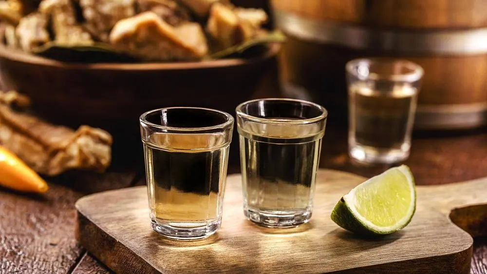 Imagem da notícia: Cachaça de Viçosa do Ceará recebe selo de Indicação de Origem