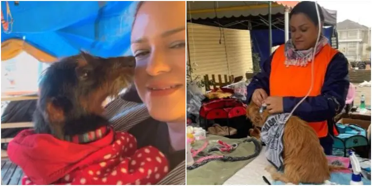 Imagem da notícia: Veterinária cearense fala da rotina de cuidado a animais resgatados em abrigo improvisado no RS