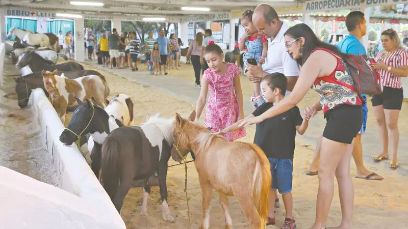 Imagem da notícia: Pecnordeste celebra acordo de cooperação pela Expoece
