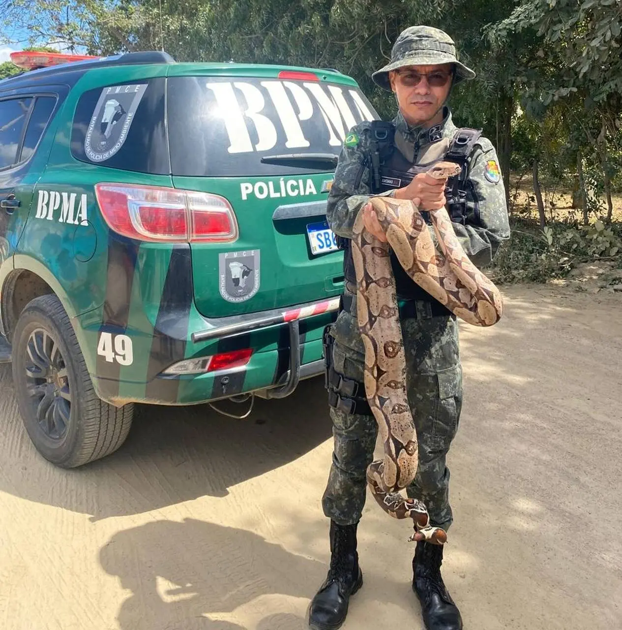 Imagem da notícia: Jiboia de 2 metros é resgatada por policiais militares em Juazeiro do Norte 