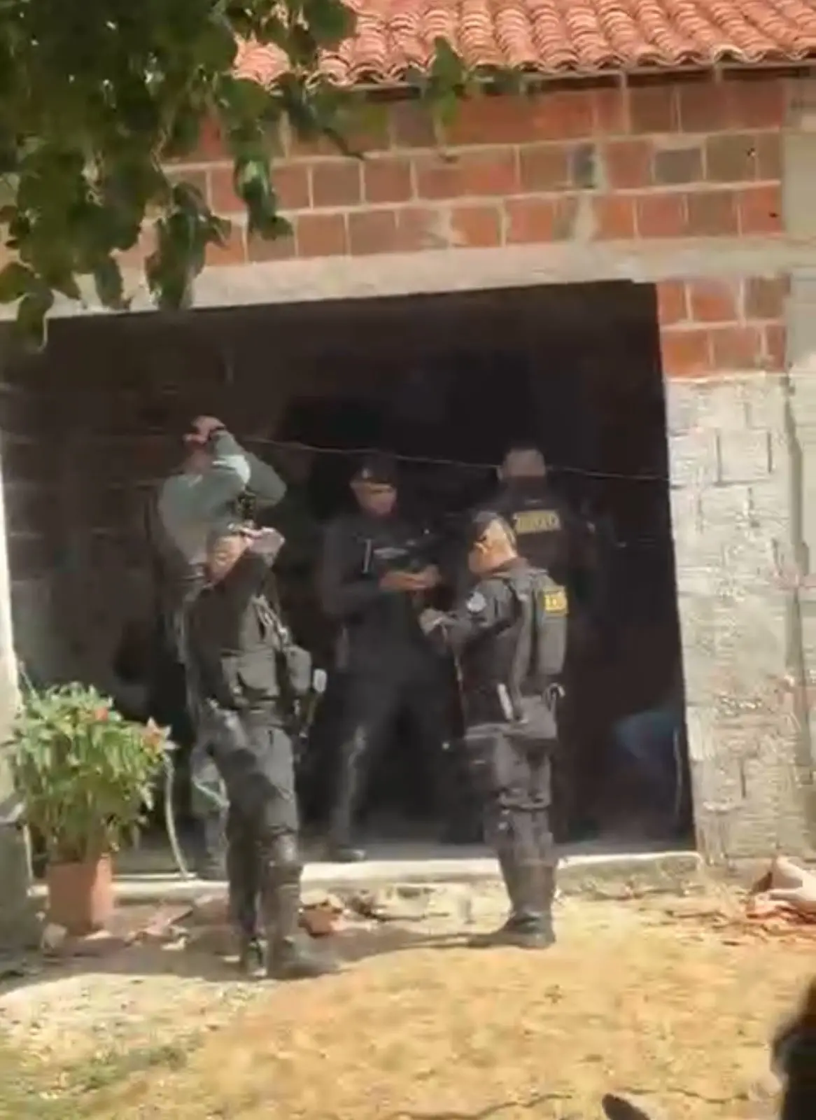 Imagem da notícia: Chacina deixa quatro mortos em zona rural de Limoeiro do Norte, no Ceará 